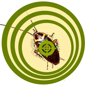 Presupuestar una fumigacion